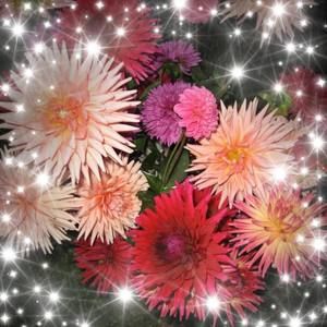 Meet your Posher, Vicki